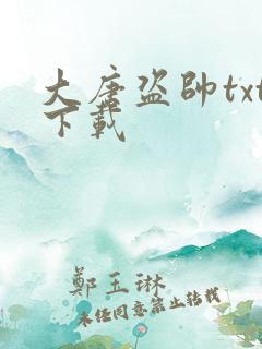 大唐盗帅txt下载