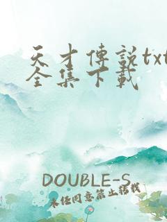 天才传说txt全集下载