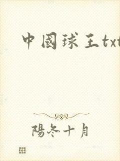 中国球王txt