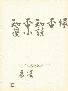 知否知否绿肥红瘦小说
