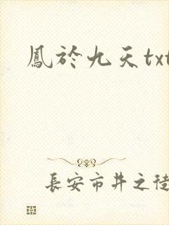 凤于九天txt