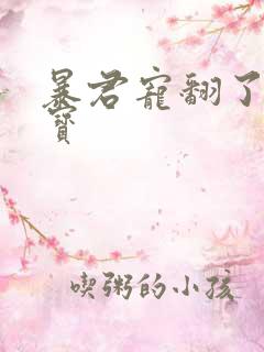 暴君宠翻了小娇宝