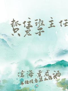 抓住班主任的俩只兔子