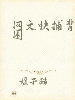 网文快捕背影家园