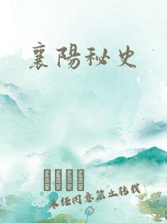 襄阳秘史