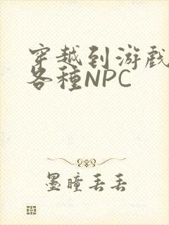 穿越到游戏里和各种NPC