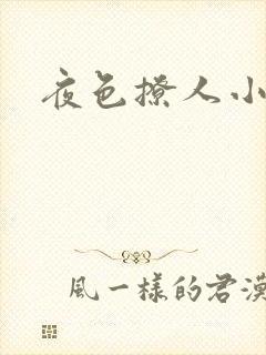 夜色撩人小说