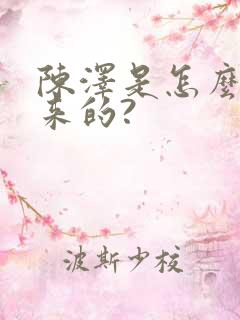 陈泽是怎么火起来的?