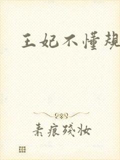 王妃不懂规矩