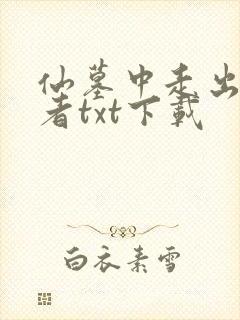 仙墓中走出的强者txt下载