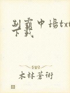 制霸中场txt下载