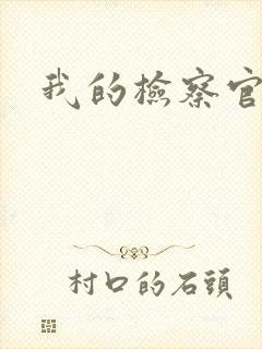 我的检察官先生