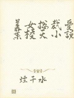 美女总裁爱上我叶棱天小说