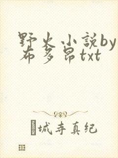 野火小说by夏布多昂txt