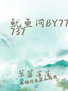 鱿鱼网BY77737