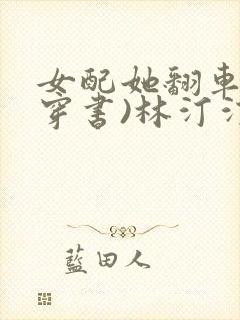 女配她翻车了(穿书)林汀汀