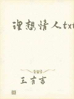 理想情人txt