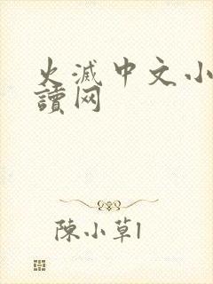 火灭中文小说阅读网