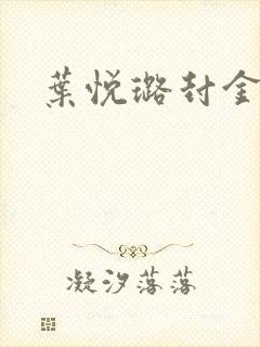 叶悦璐封金小说