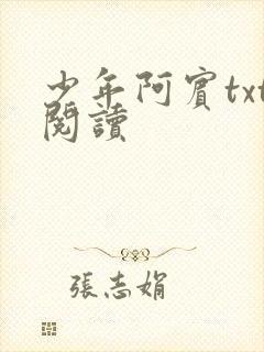 少年阿宾txt阅读