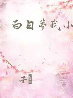 白日梦我小说