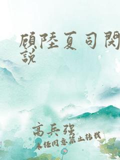 顾陆夏司闵郁小说