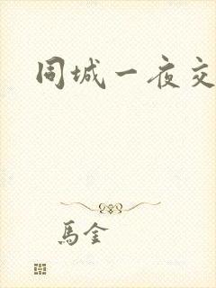 同城一夜交友