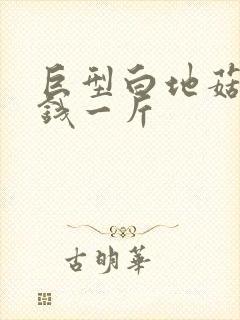 巨型白地菇多少钱一斤