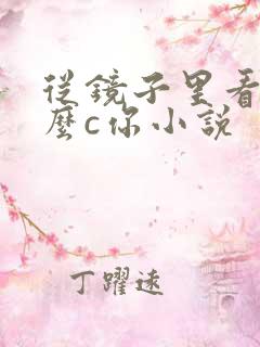 从镜子里看我怎么c你小说