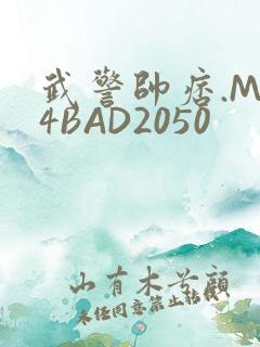 武警帅痞.MP4BAD2050
