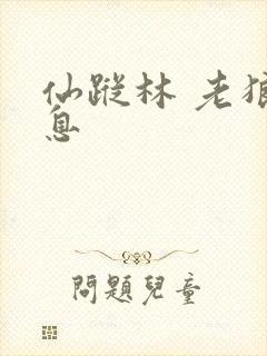 仙踪林 老狼信息