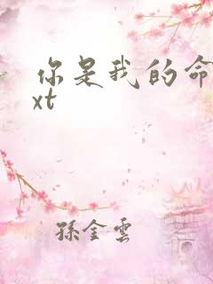 你是我的命运txt