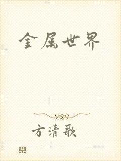 金属世界