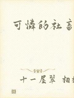 可怜的社畜分手