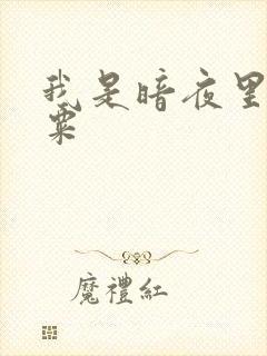 我是暗夜里的罂粟