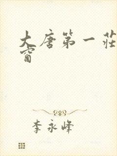 大唐第一庄无弹窗