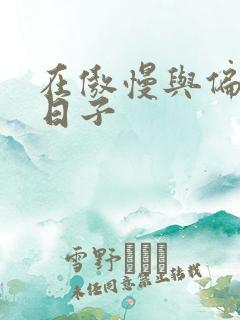 在傲慢与偏见的日子