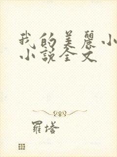 我的美丽小后妈小说全文