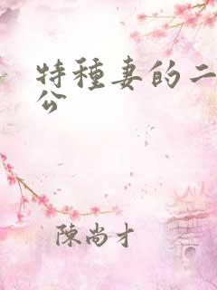 特种妻的二手老公