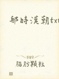 那时汉朝txt
