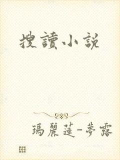 搜读小说