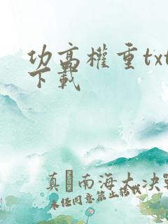 功高权重txt下载