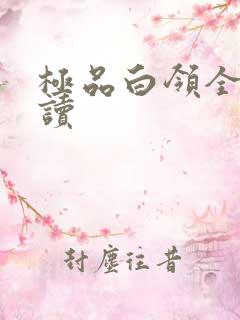 极品白领全文阅读