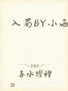 入局BY小西