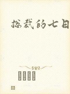 总裁的七日恋人