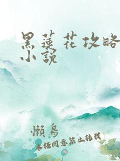 黑莲花攻略手册小说