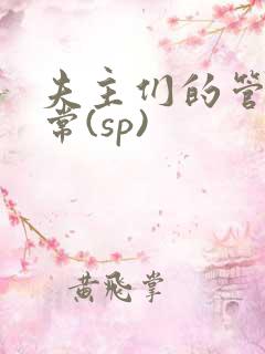 夫主们的管教日常(sp)