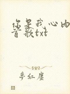 你是我心内的一首歌txt