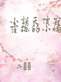 小说天价宠妻:霍总的小娇妻