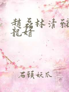 赵磊林清雅上门龙婿